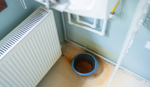 Best Local water damage restoration  in Oneonta, AL