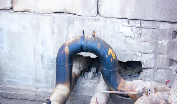 Best Flood damage cleanup  in Oneonta, AL