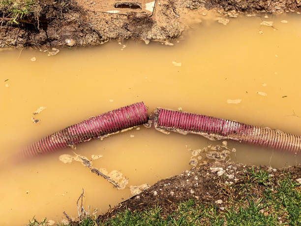 Best Flood damage cleanup  in Oneonta, AL