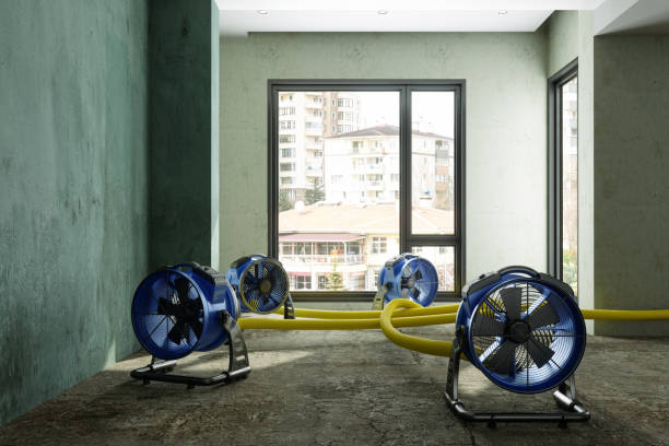 Best Mold removal after water damage  in Oneonta, AL